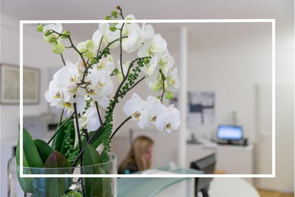 Blick ins Steuerberaterbüro in Filderstadt